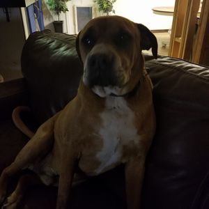 Meet your Posher, Tonna